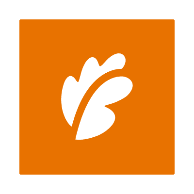 Boen color logo