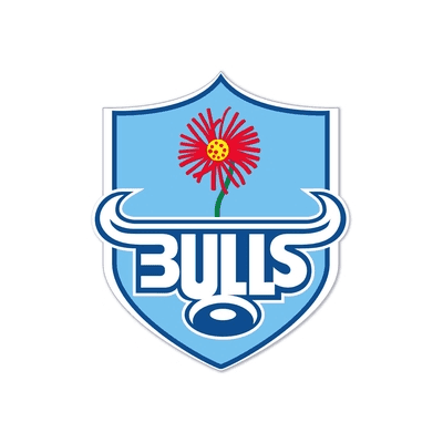 Bulls logo