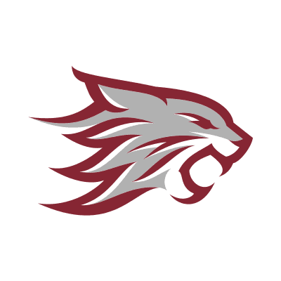 Chico State Wildcats logo