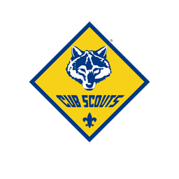 Cub Scouts