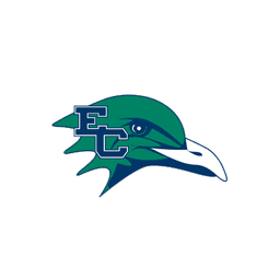 Endicott Gulls