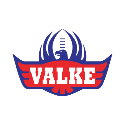 Falcons logo