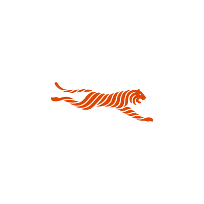 FIT Tigers color logo