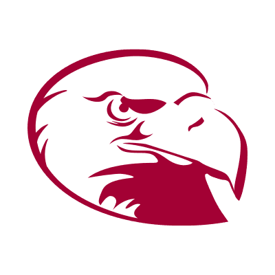 Lock Haven Bald Eagles color logo