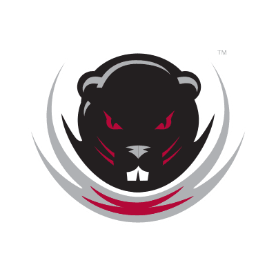 MIT Engineers color logo