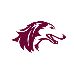 Southern Illinois Salukis