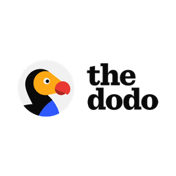 The Dodo