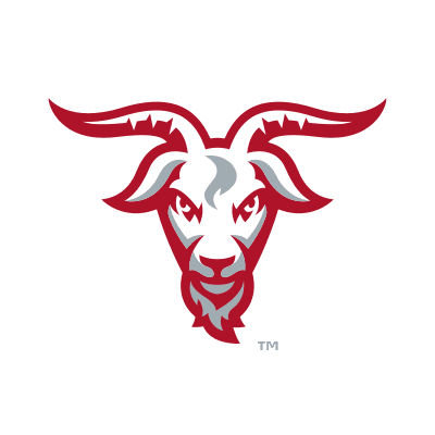 WPI Engineers logo