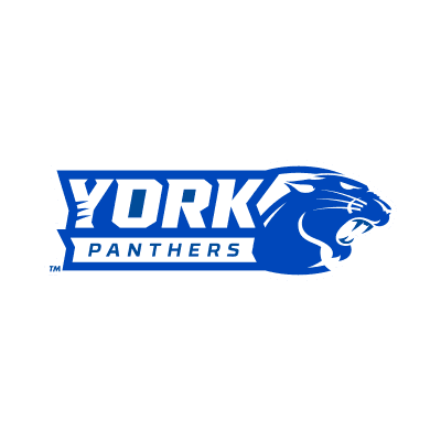 York Panthers color logo