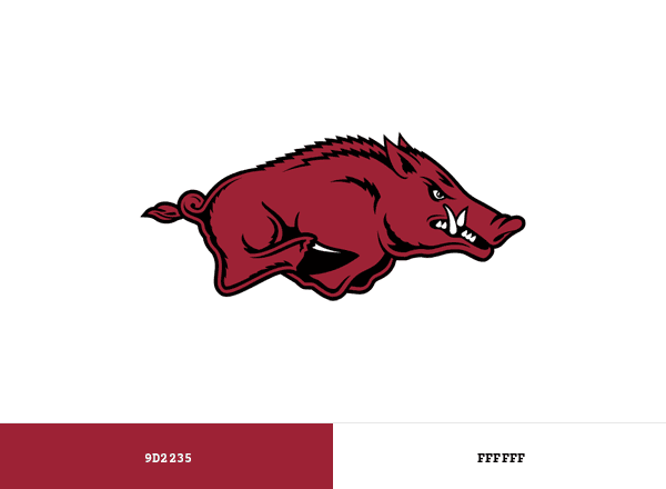Arkansas Razorbacks brand color palette
