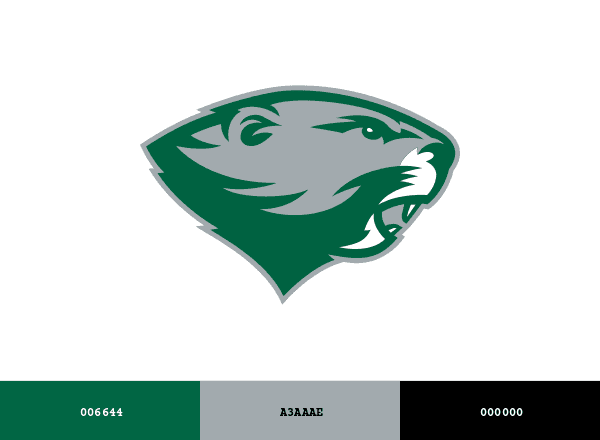 Babson Beavers brand color palette