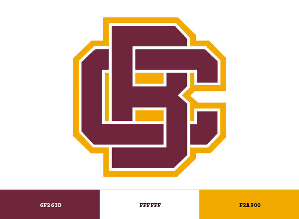 Bethune-Cookman University brand color palette