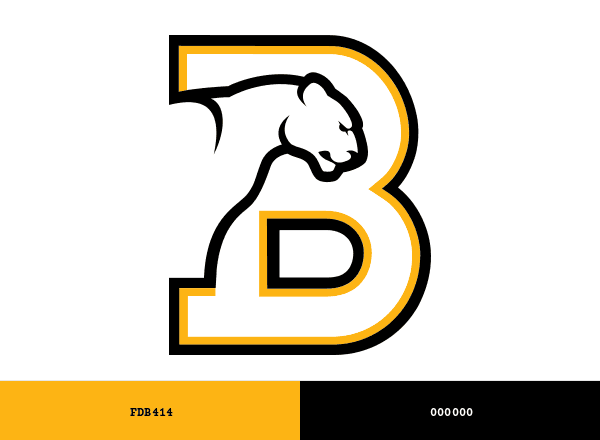 Birmingham-Southern Panthers brand color palette
