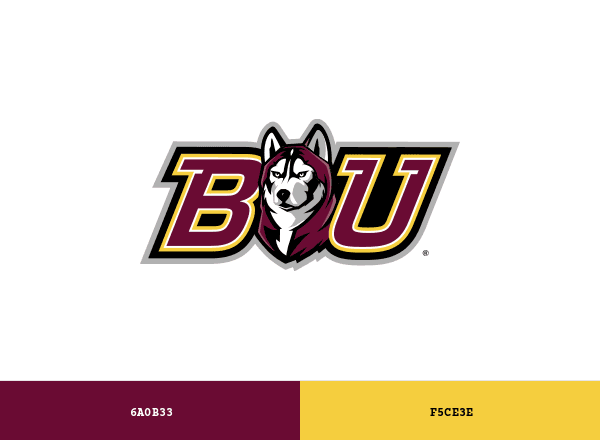 Bloomsburg Huskies brand color palette