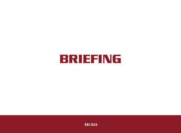 BRIEFING brand color palette