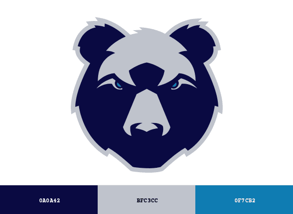 Bristol Bears brand color palette