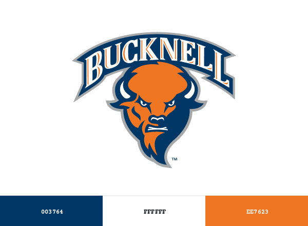 Bucknell Bison brand color palette