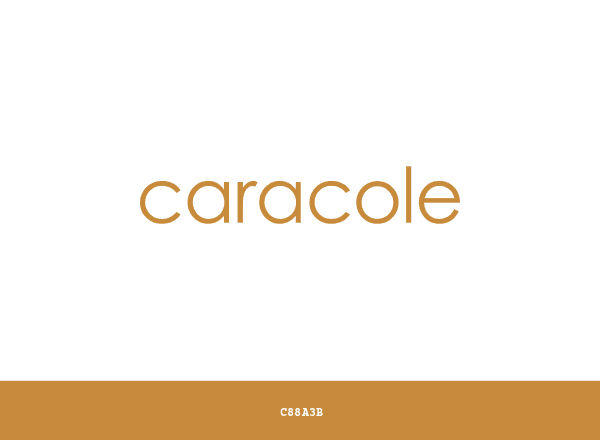 Caracole brand color palette