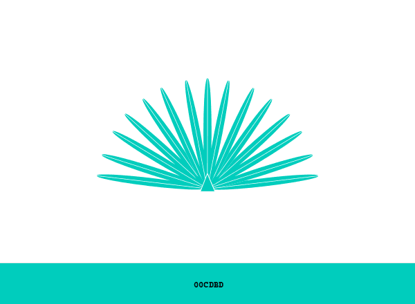 Casamigos brand color palette