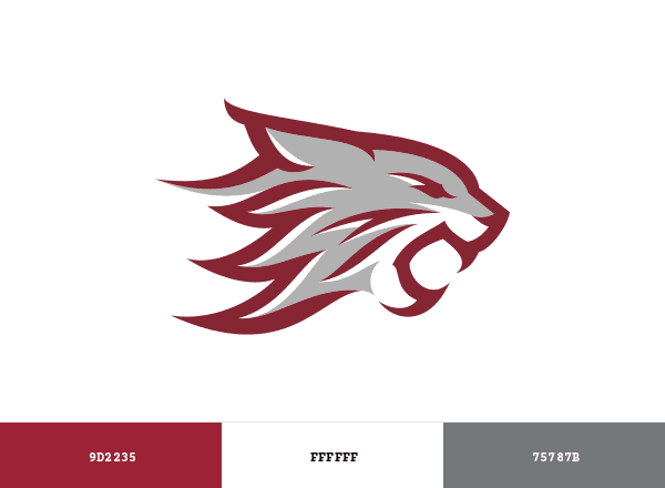 Chico State Wildcats brand color palette