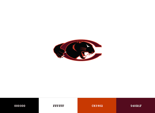 Claflin Panthers brand color palette
