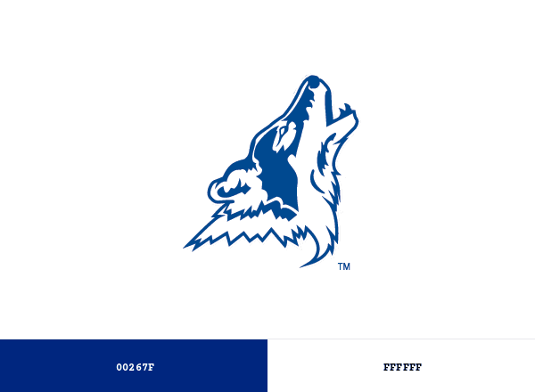 CSN Coyotes brand color palette