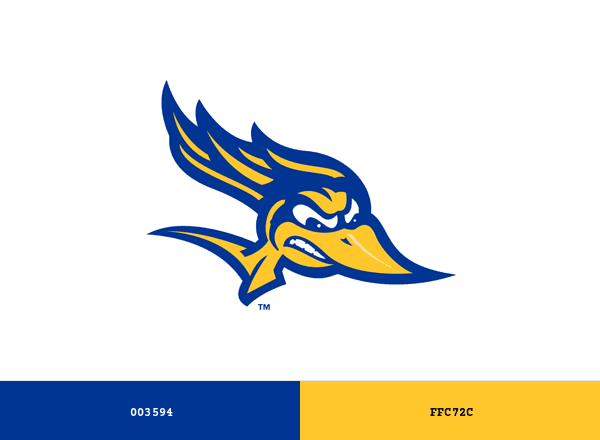 CSU Bakersfield Roadrunners brand color palette