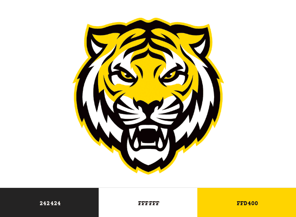 Dalhousie Tigers brand color palette