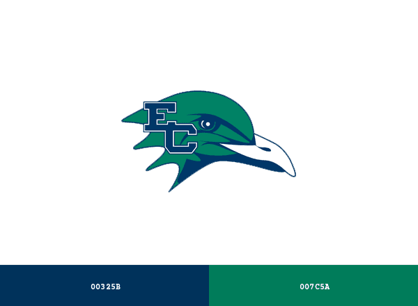 Endicott Gulls brand color palette