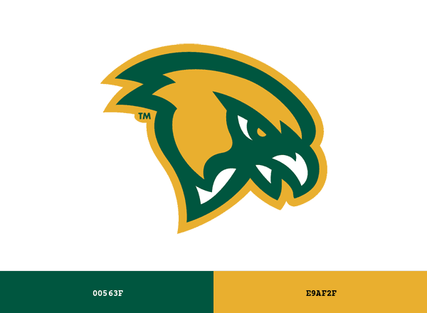 Fitchburg State Falcons brand color palette