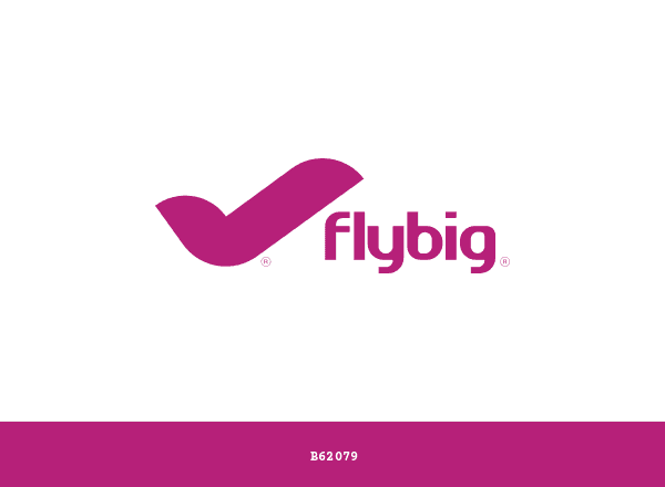 FlyBig brand color palette