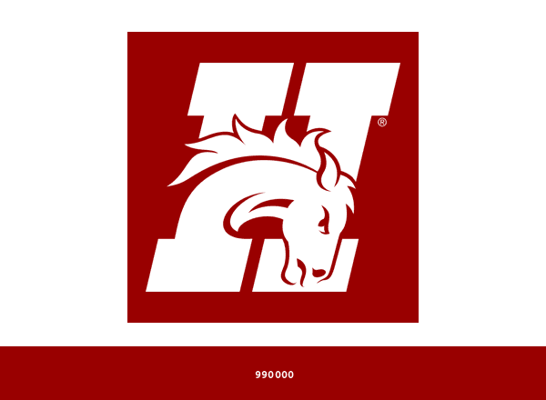 Hastings Broncos brand color palette