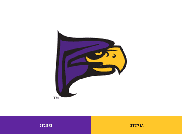 Hunter College Hawks brand color palette