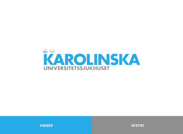 Karolinska Universitetssjukhuset brand color palette
