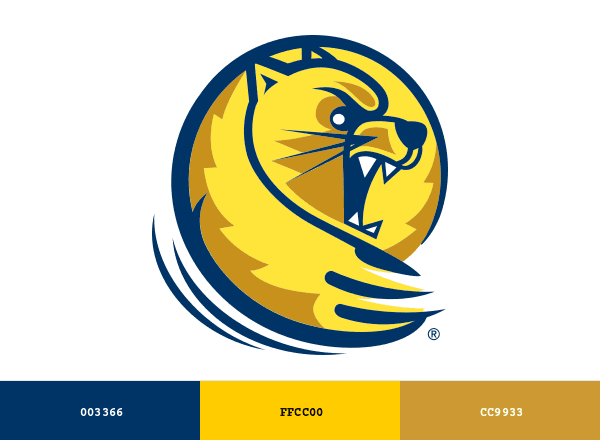 Lander Bearcats brand color palette