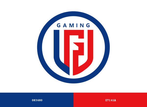 LGD Gaming brand color palette
