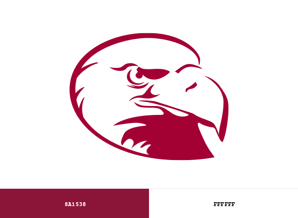 Lock Haven Bald Eagles brand color palette