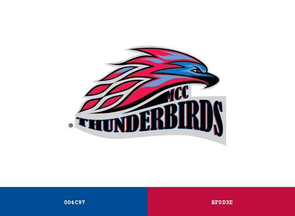 MCC Thunderbirds brand color palette