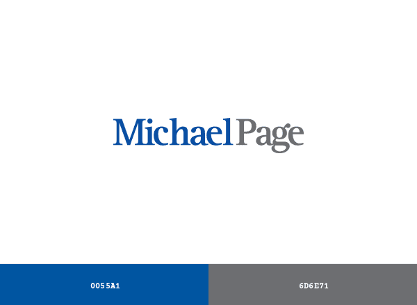 Michael Page brand color palette