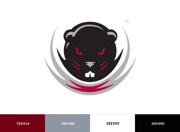 MIT Engineers brand color palette