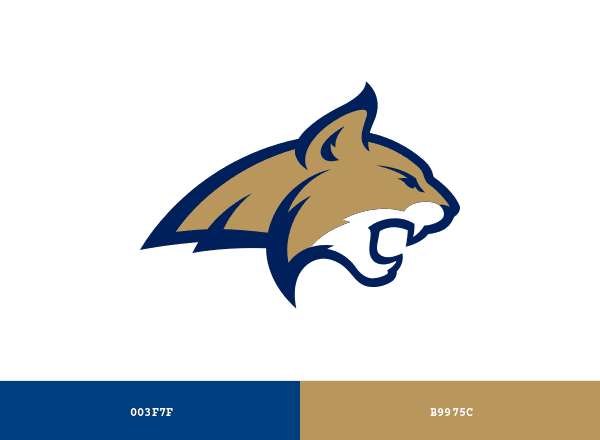 Montana State Bobcats brand color palette