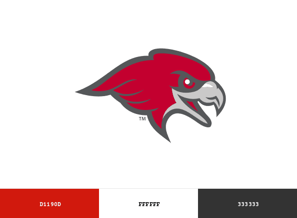Montclair Red Hawks brand color palette