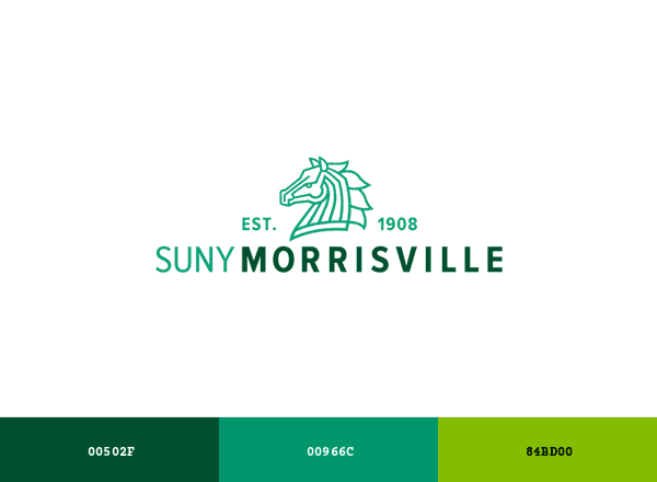 Morrisville State College brand color palette