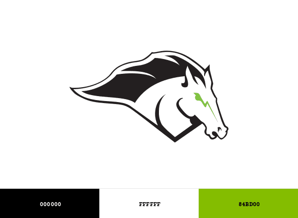 Morrisville State Mustangs brand color palette
