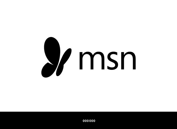 MSN brand color palette