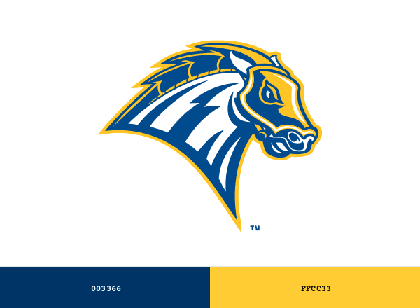New Haven Chargers brand color palette