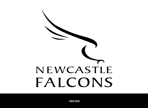 Newcastle Falcons brand color palette