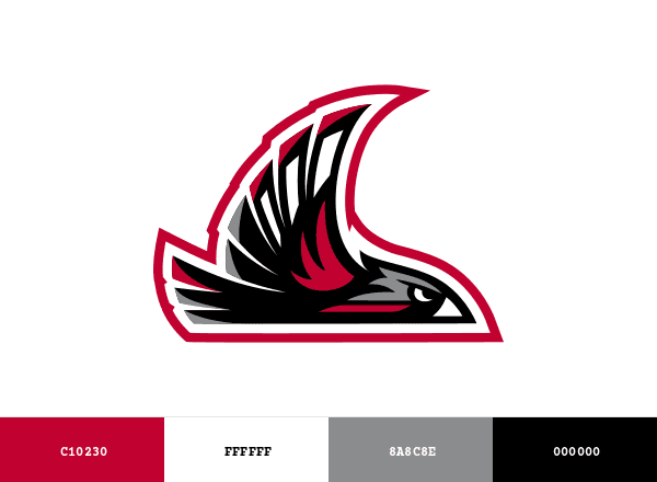 Northwest Nazarene Nighthawks brand color palette