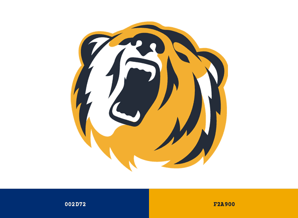 NYIT Bears brand color palette