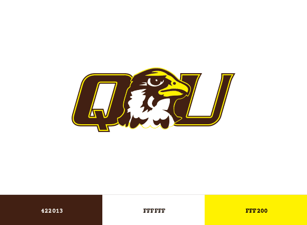Quincy Hawks brand color palette